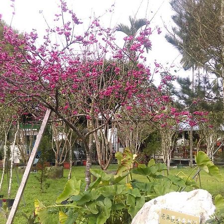 Sun Moon Lake Wild Flower Bed & Breakfast Yuchi Luaran gambar