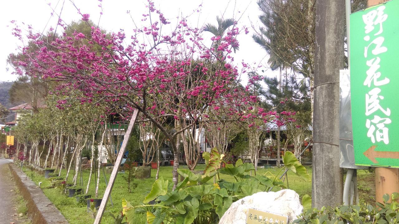 Sun Moon Lake Wild Flower Bed & Breakfast Yuchi Luaran gambar