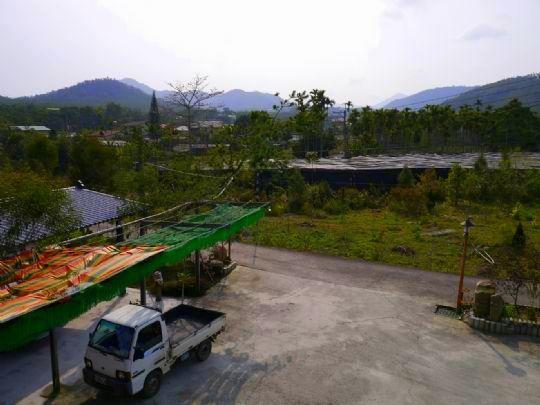 Sun Moon Lake Wild Flower Bed & Breakfast Yuchi Luaran gambar